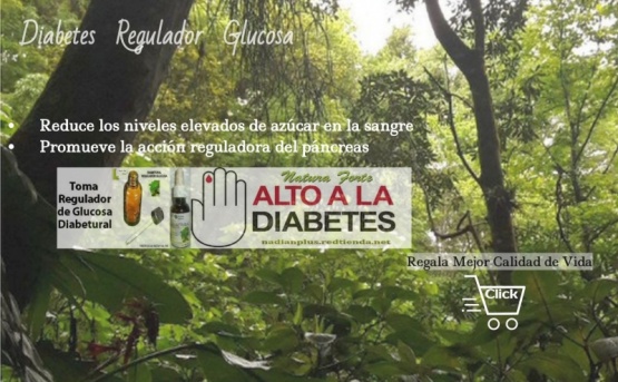 Natura Forte Plus Diabetural diabetes regulador de glucosa